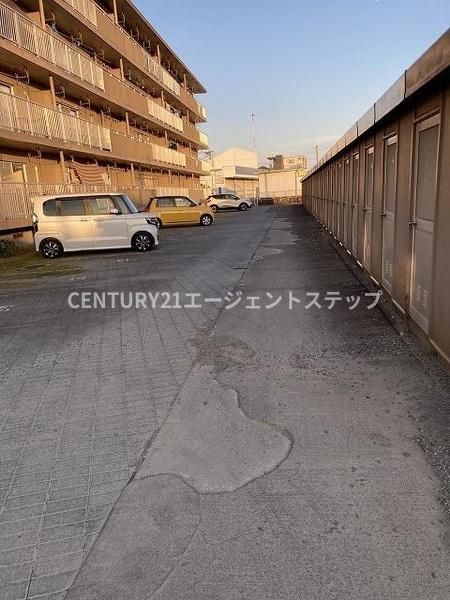 サルヴァトーレ花ヶ島