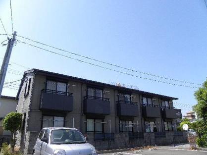 フローラ神宮
