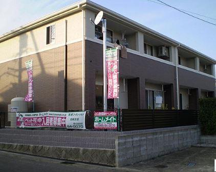 チェリーブロッサム明日花
