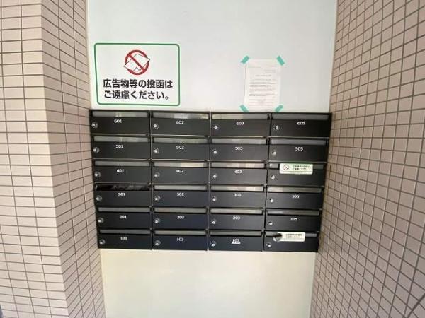 エレガンス11