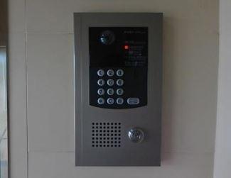 パストラル柳丸1