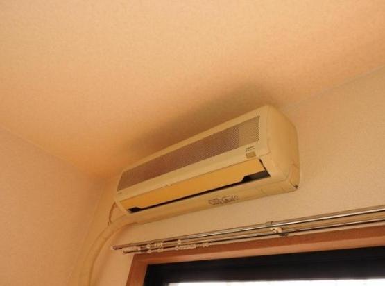 ドルミールＹＡＮＯ