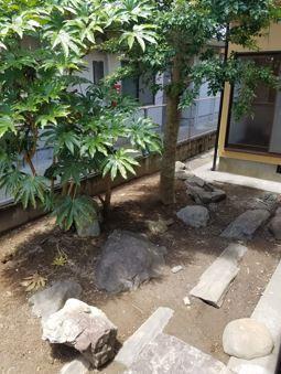 恒久5丁目貸家
