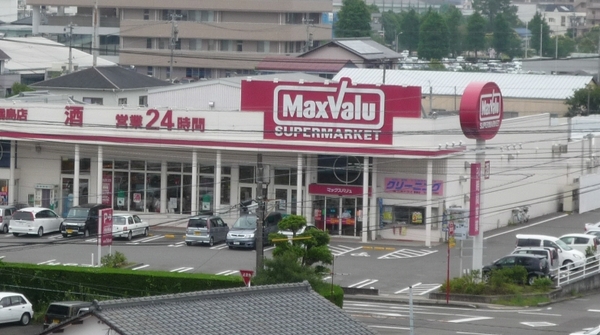 エレメント大橋(マックスバリュ霧島店)