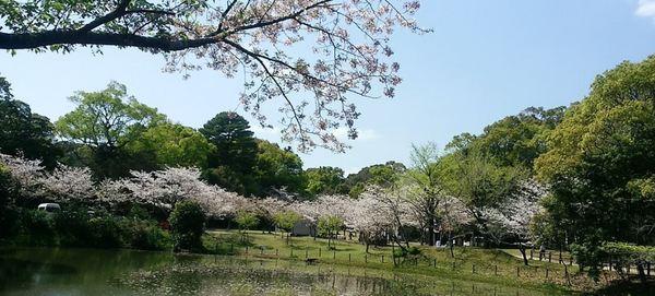 サンファースト福島(天神山公園)