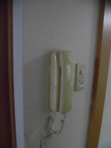 アルカコンネ大工