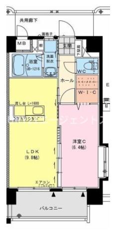 サンデービーチ’エコル