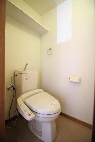 アミリアコート
