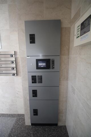 Pissenlit　1