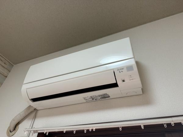 アリシア・イン・清水