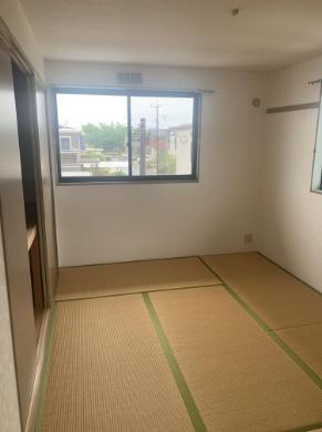 サンビレッジ島之内マツバギク