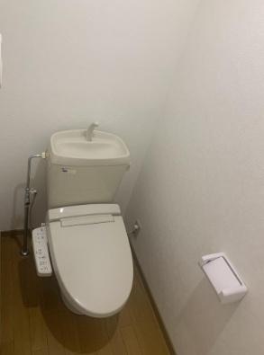 サンビレッジ島之内マツバギク