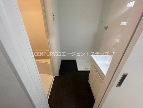 NEIGHBORS 2(洗面台・洗面所)