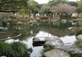 Ruma.橘通(宮崎中央公園)