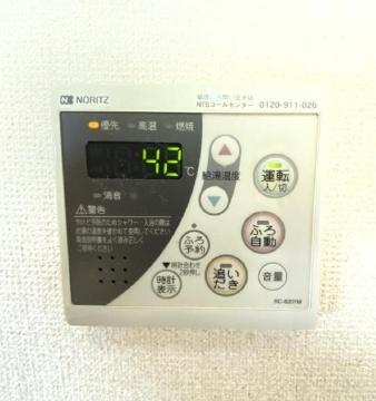 チェリーブロッサム2