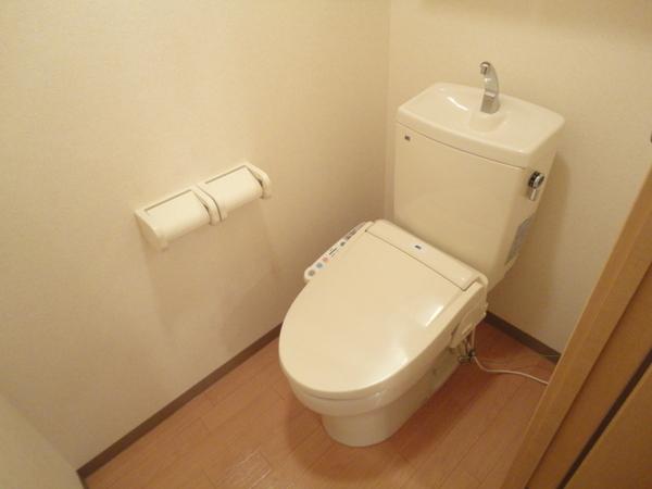 グレイスエクセレンス