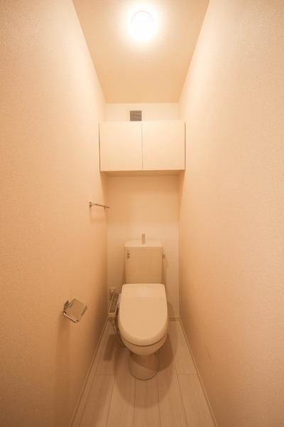 MarineStudio和多田D-room