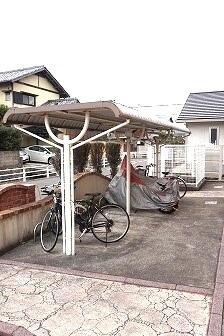 クレマチス２
