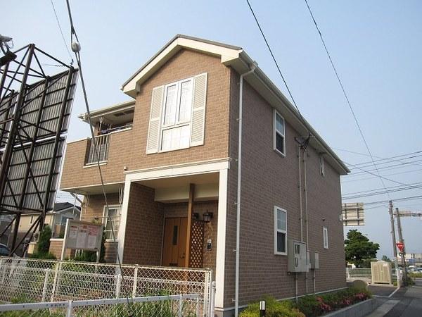 コットン　アベニュー　Ａ