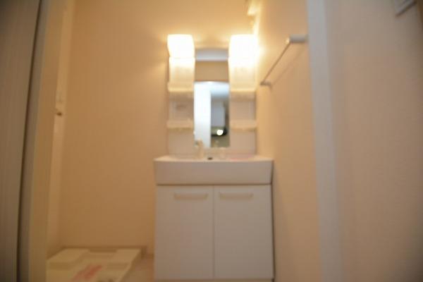 サザンクロス2(洗面台・洗面所)