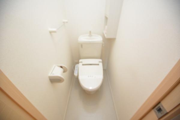 サザンクロス2(トイレ)