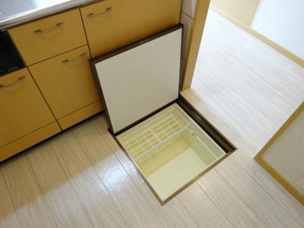 グレイスエクセレンス