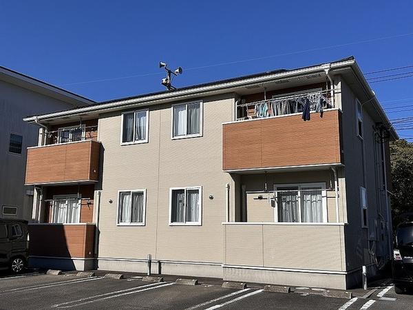 ロ－ズマリ－　２