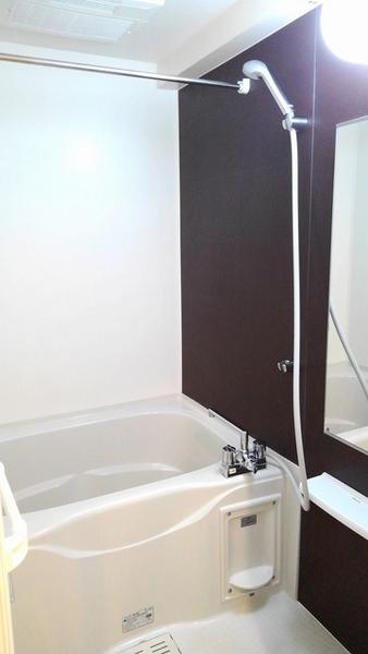 ルイシャトレ鏡