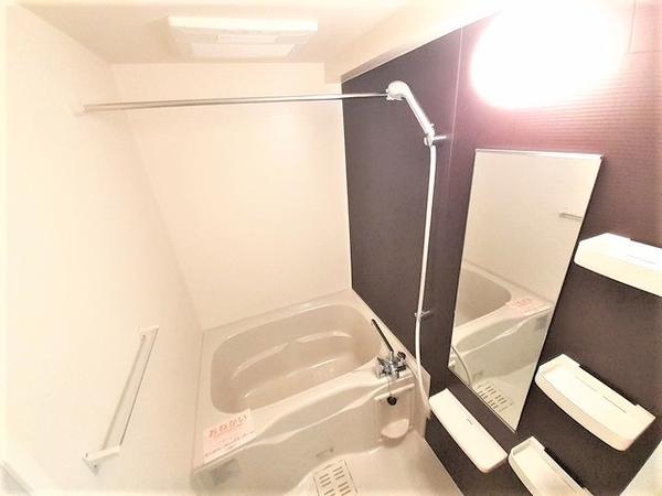 ルイシャトレ鏡