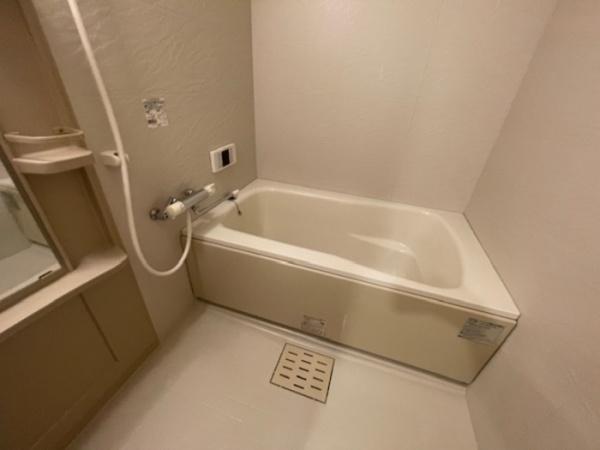 エコシス7