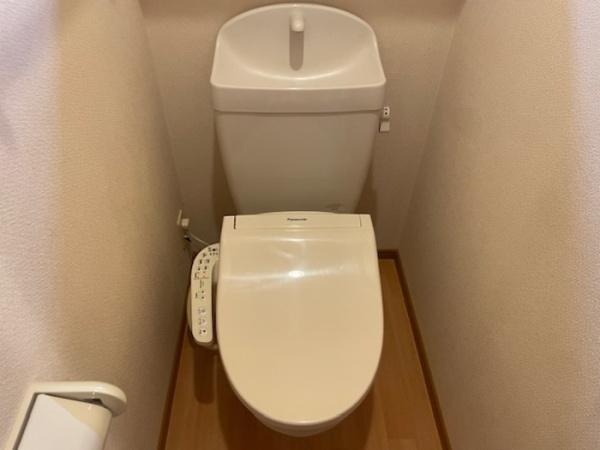 エコシス7