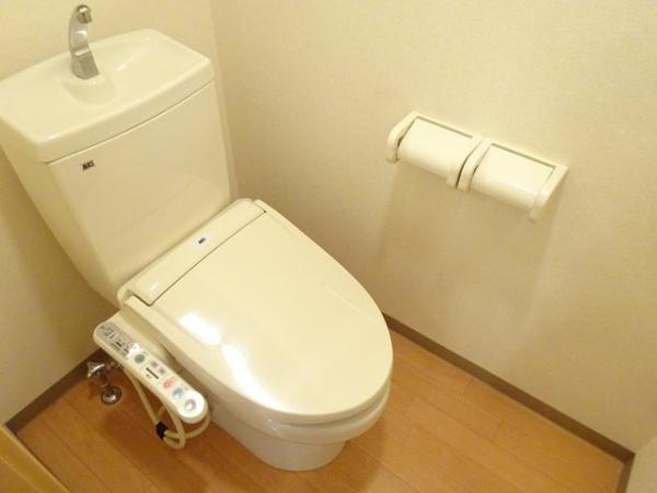 グレイスエクセレンス