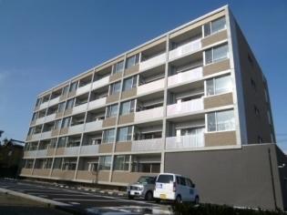 シェモア丸の内