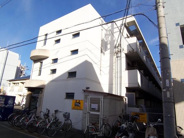 シロハイヌ