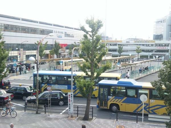 シロハイヌ(茨木市駅(阪急京都本線))