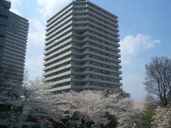 リプレ川口一番街６号棟１０階