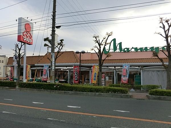 東川口戸建賃貸カースペース2台(マルヤ東川口店)