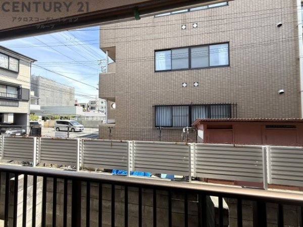アウレリア甲子園