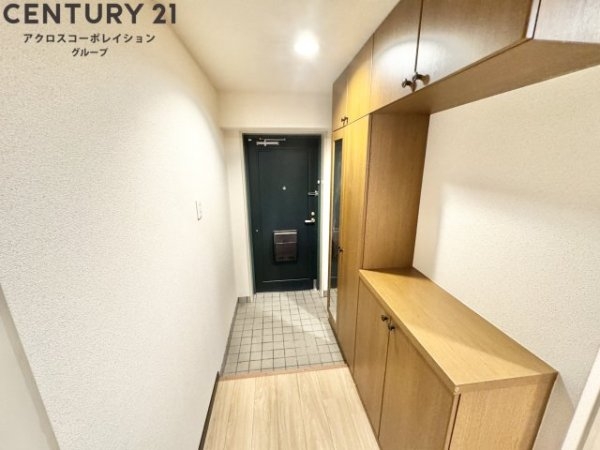 ドムストリア