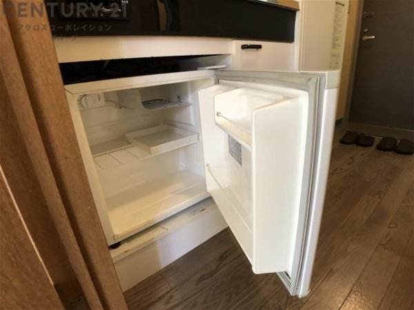 エルロン２１