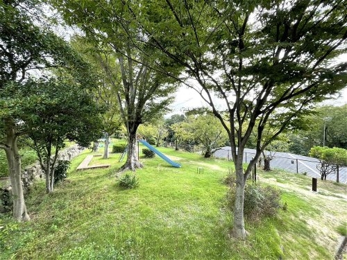 Ｆ　ａｓｅｃｉａ　Ｏｌｅｎ(青葉台緑地)