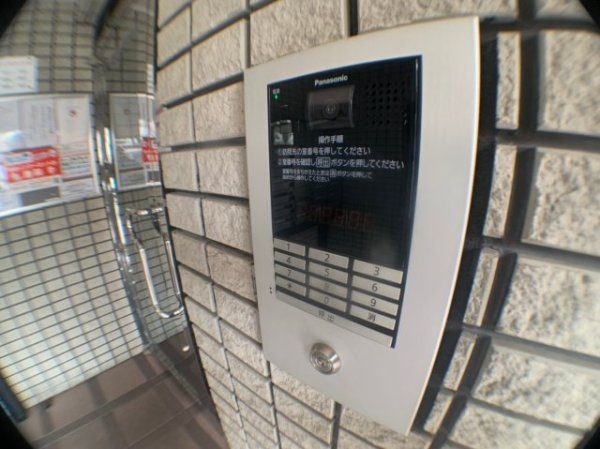 アーバンジャングルプレース174n