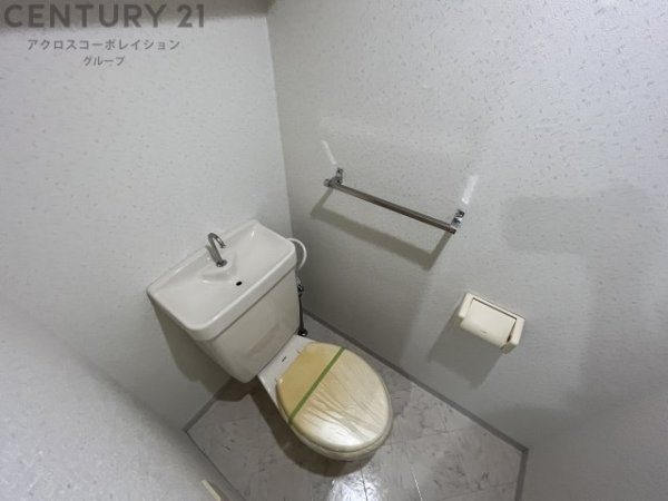 メゾンアイリス