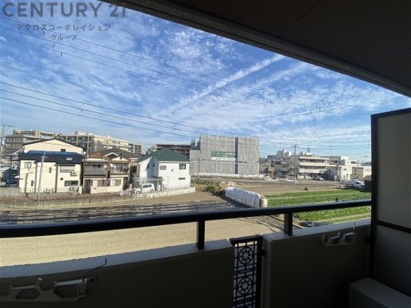 ドムール若山