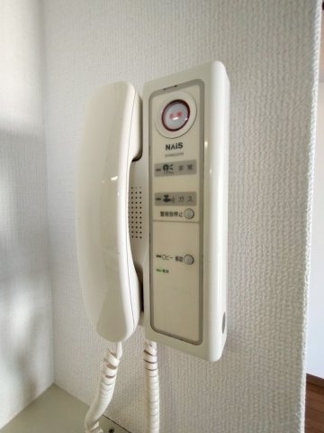 ループ若草