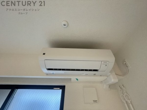カームデイズ