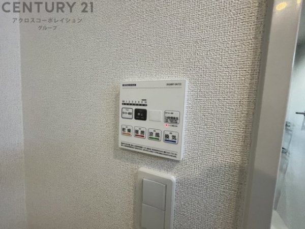 カームデイズ