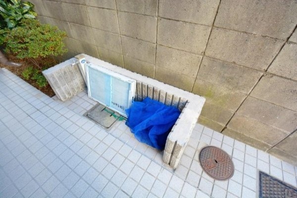 サクシード甲子園