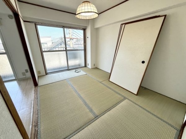 パインリーフ甲子園