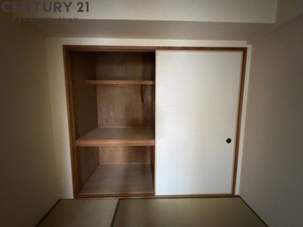 ヴェルドミールカミロク